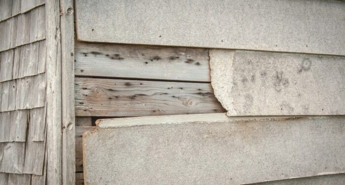 Siding Damage Repair at Wayne Tisdale blog
